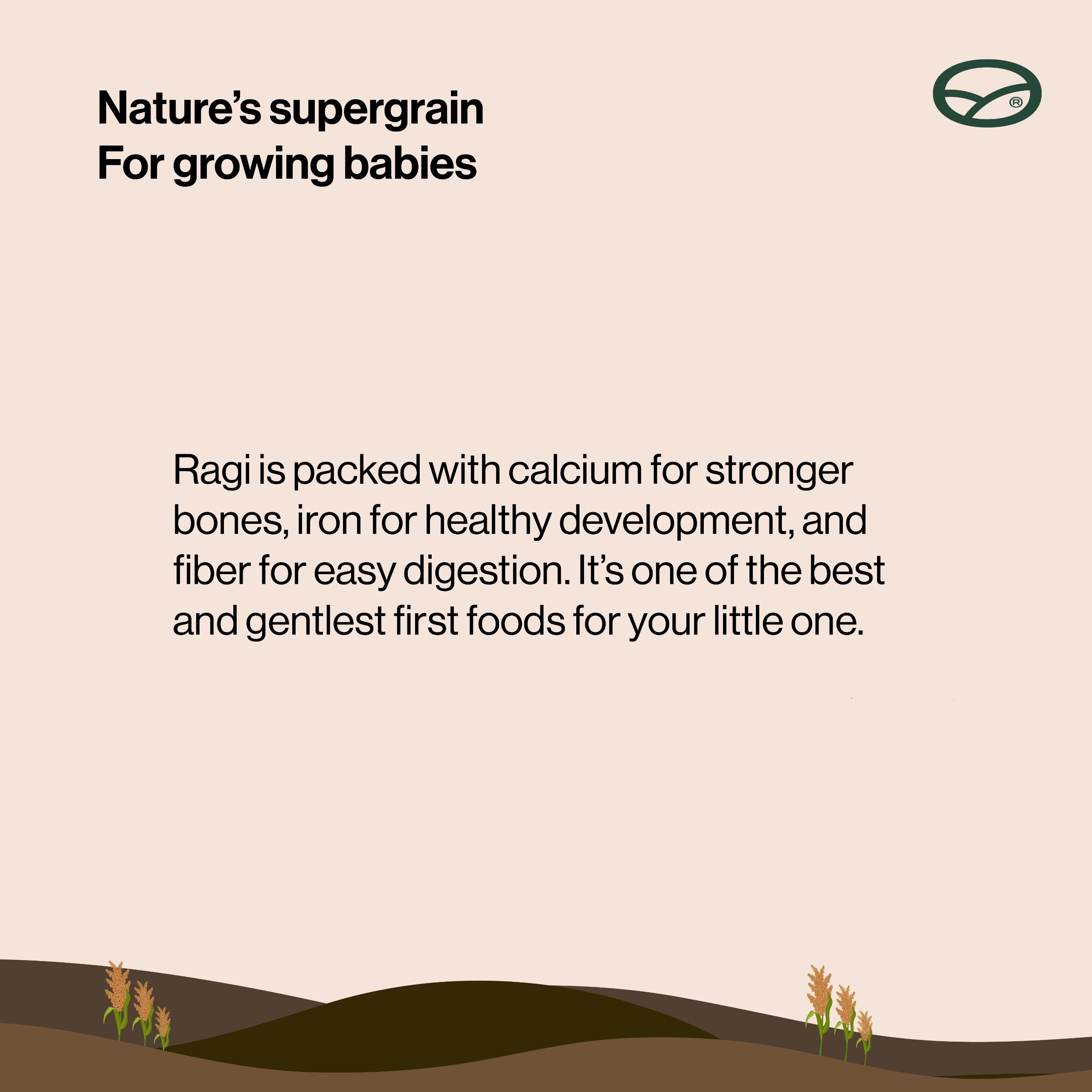 Baby friendly (06 months+ ) - Preservative free Ragi Milk Powder