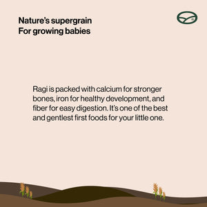Baby friendly (06 months+ ) - Preservative free Ragi Milk Powder